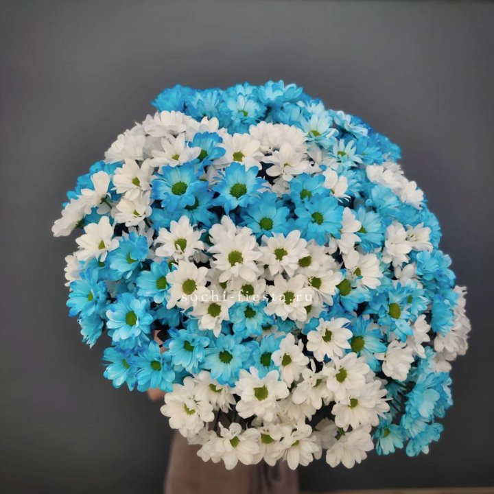  Букет хризантем микс в Ставрополи