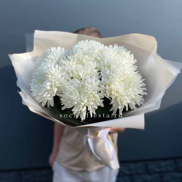 Профитроли в Ставрополи