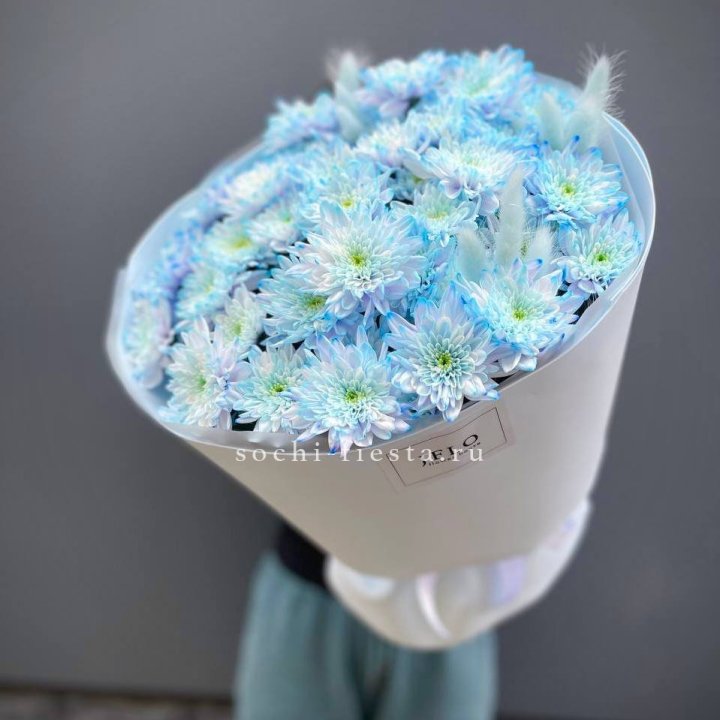  Букет нежно-голубых хризантем  в Ставрополи