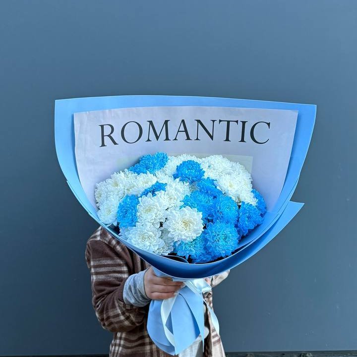 Дуо хризантем в Ставрополи