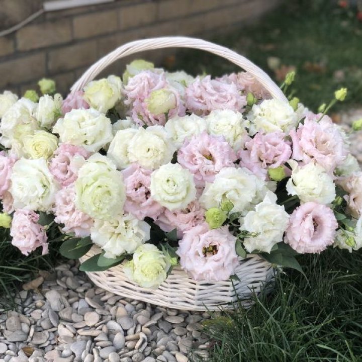 Корзина с эустомой в Ставрополи