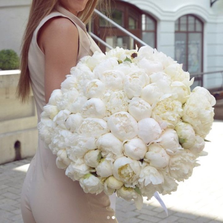 51 белый пион в Ставрополи