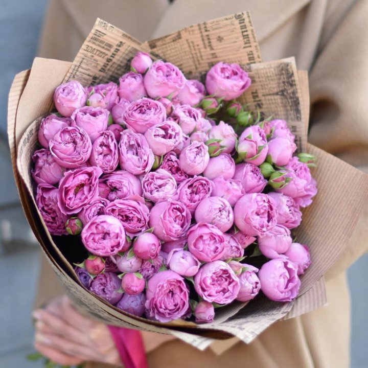 Роза Мисти Баблс в Ставрополи