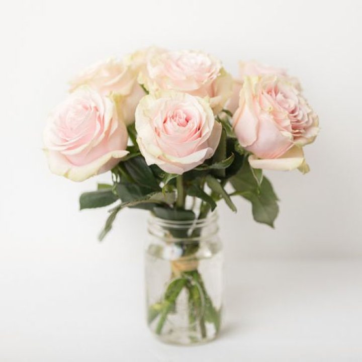 7 кремовых роз в Ставрополи