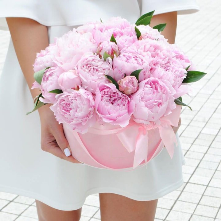 Пионы в шляпной коробке в Ставрополи