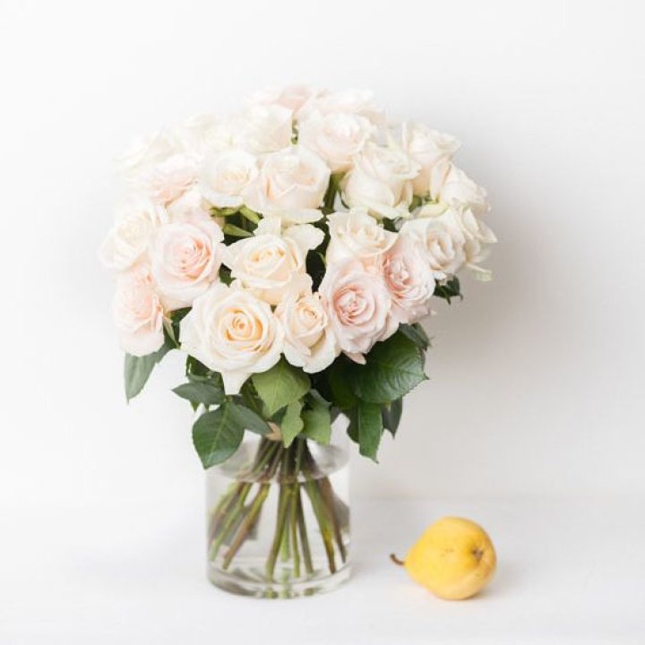 25 кремовых роз в Ставрополи