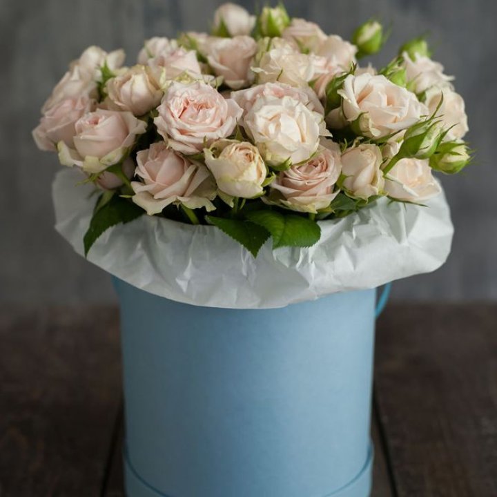 Бокс с бомбастиком в Ставрополи