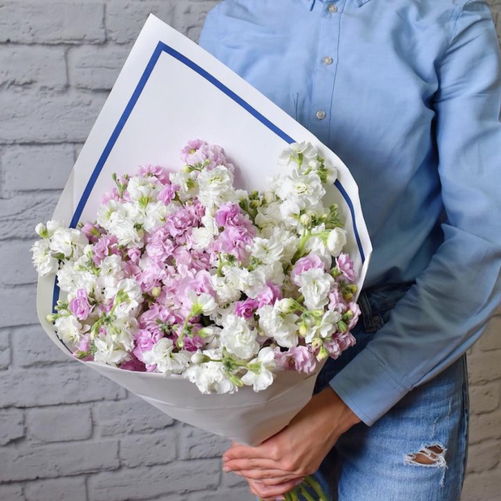 Маттиола в Ставрополи