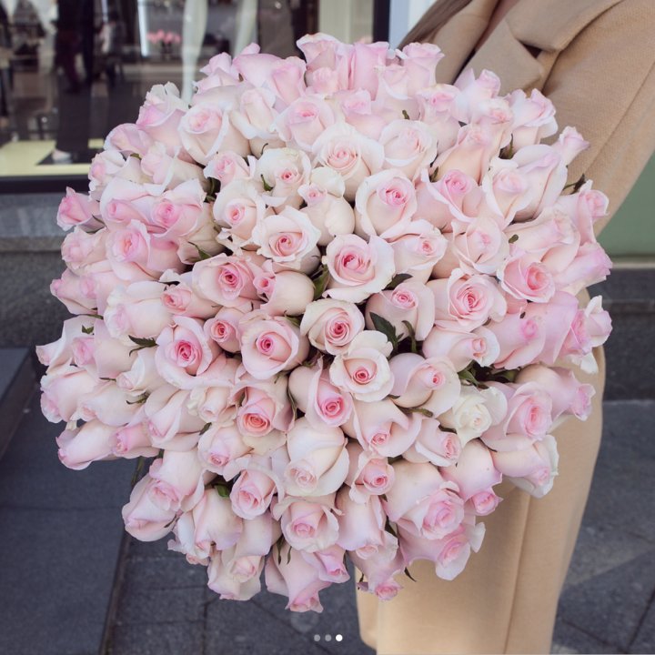 Розы "Пинк бум" в Ставрополи