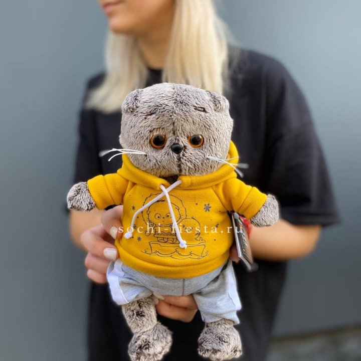 Кот Басик в худи в Ставрополи