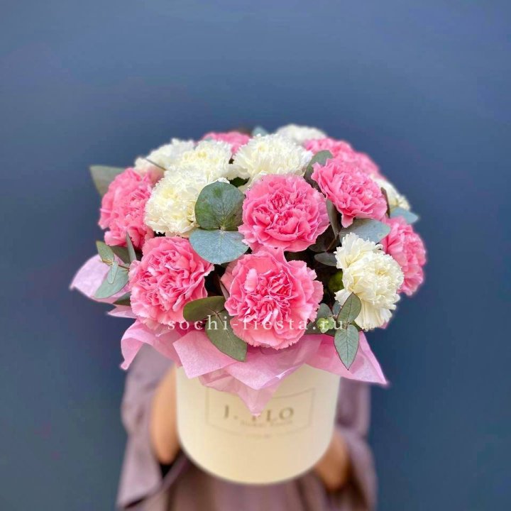 Диантусы в цилиндре в Ставрополи