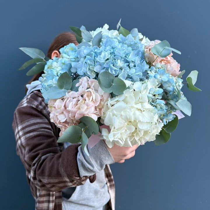 Гортензии в коробочке в Ставрополи