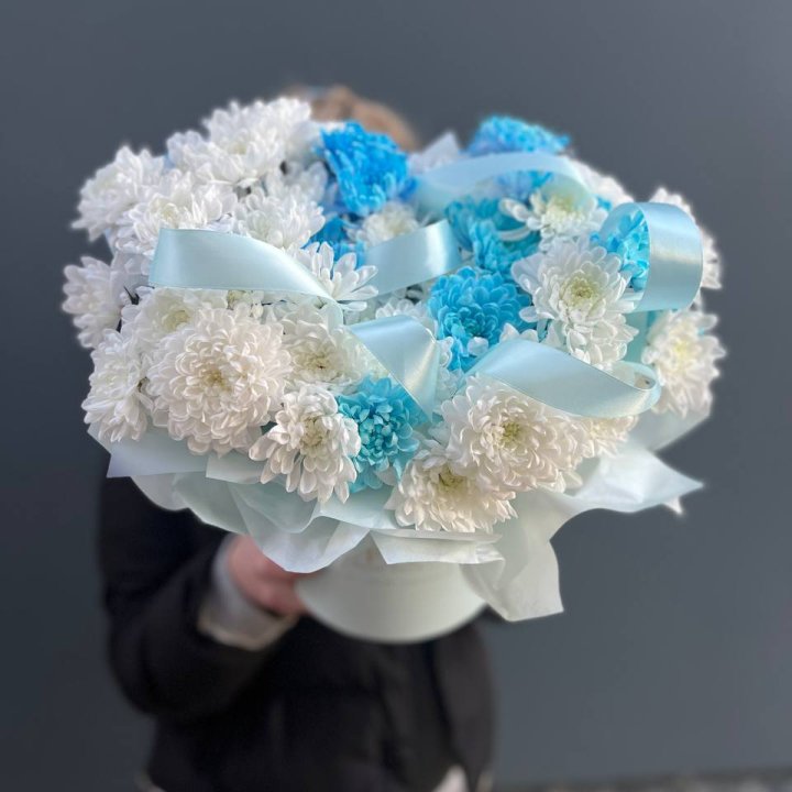 Хризнтемы в боксе в Ставрополи