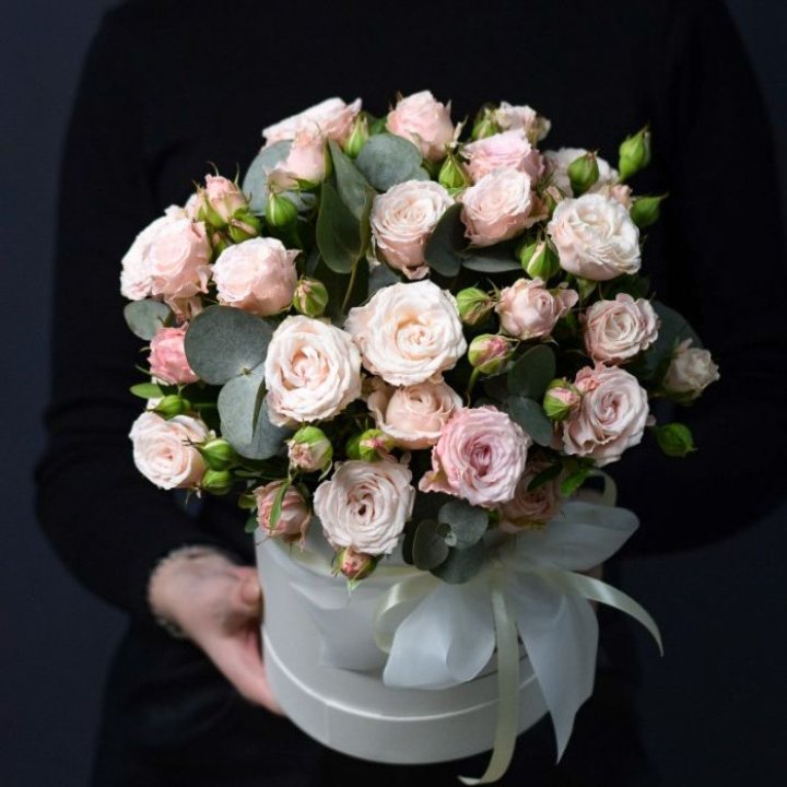 Бомбастик бокс №2 в Ставрополи