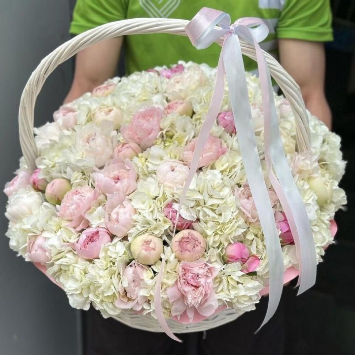 Премиум корзина гортензий и пионов в Ставрополи