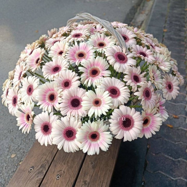 Корзина с герберами  в Ставрополи