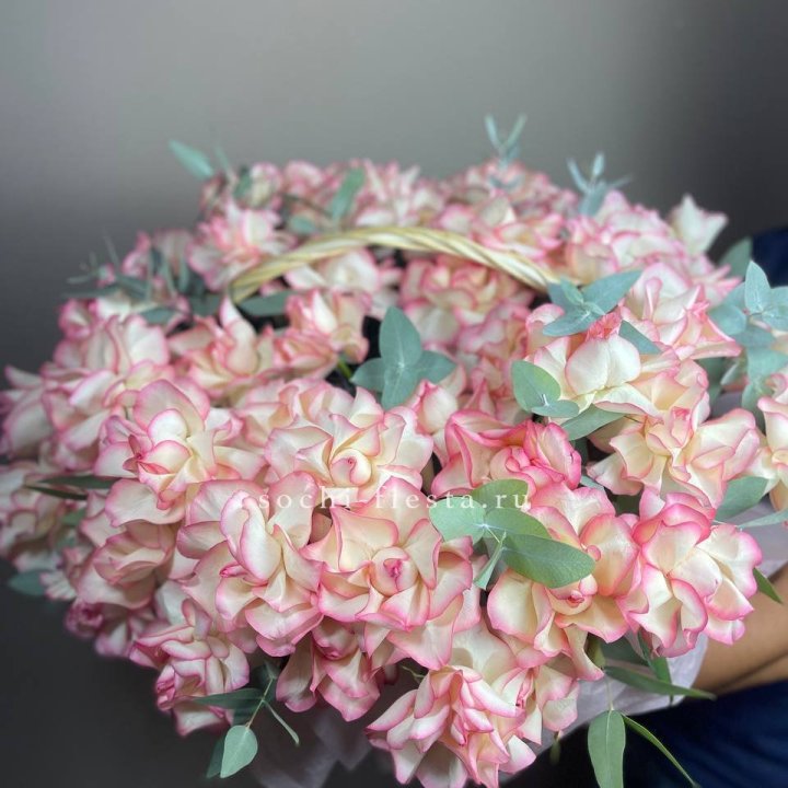 51 джумилия  в корзине   в Ставрополи