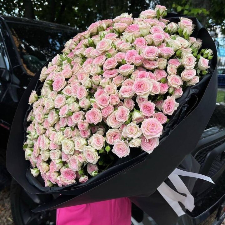 101 кустовая роза "Твистер" в Ставрополи