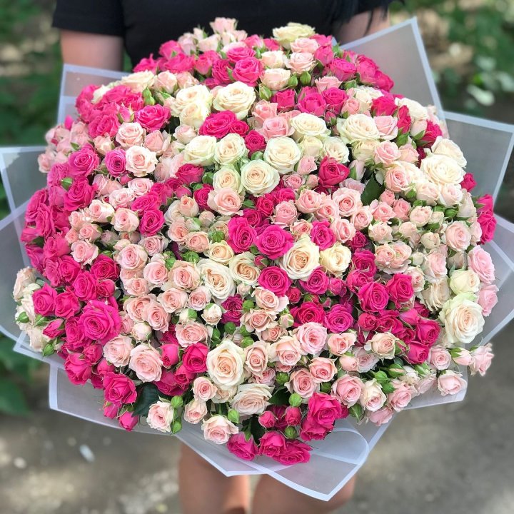 101 кустовая роза в Ставрополи