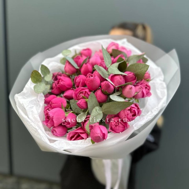 17 Мисти бабблс в Ставрополи