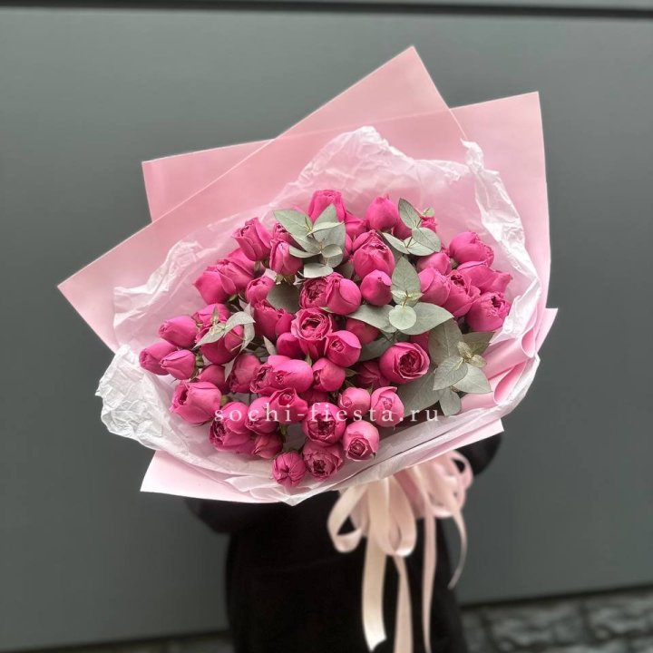 25 Мисти бабблс в Ставрополи