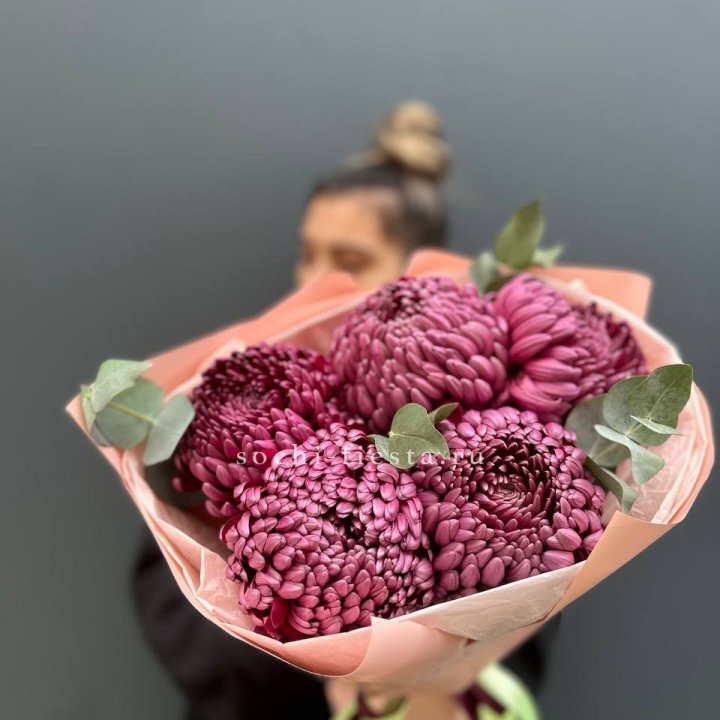 Хризантемы  Бигуди  в Ставрополи