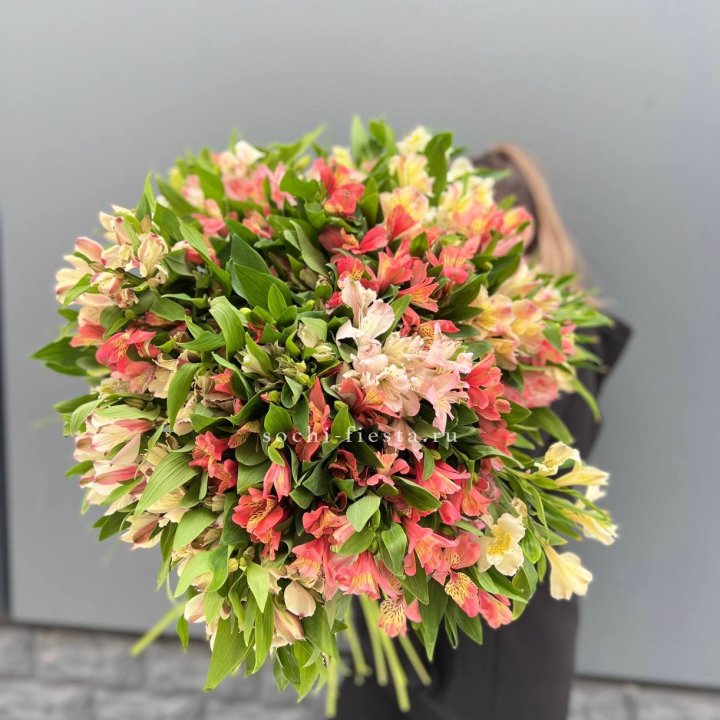 51 альстромерия в Ставрополи