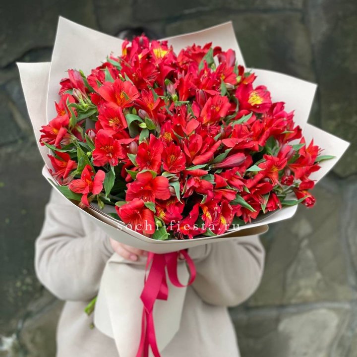 51 альстромерия в Ставрополи