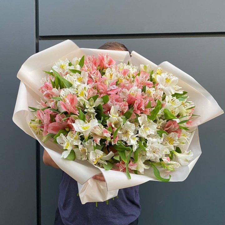 39 альстромерий в Ставрополи