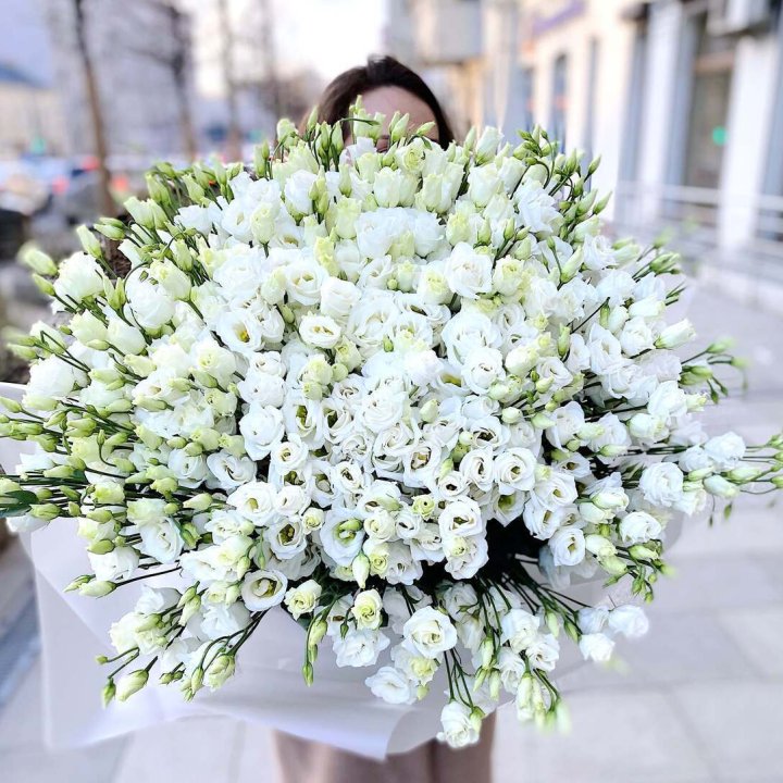 101 белая эустома в Ставрополи