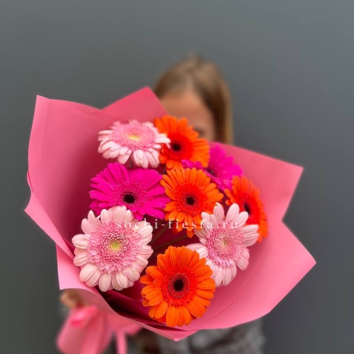 Краски в Ставрополи