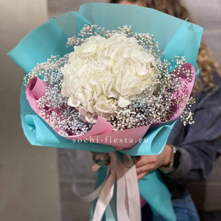 Гортензия "Райдов" в Ставрополи