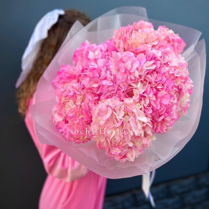 7 ярко розовых гортензий в Ставрополи