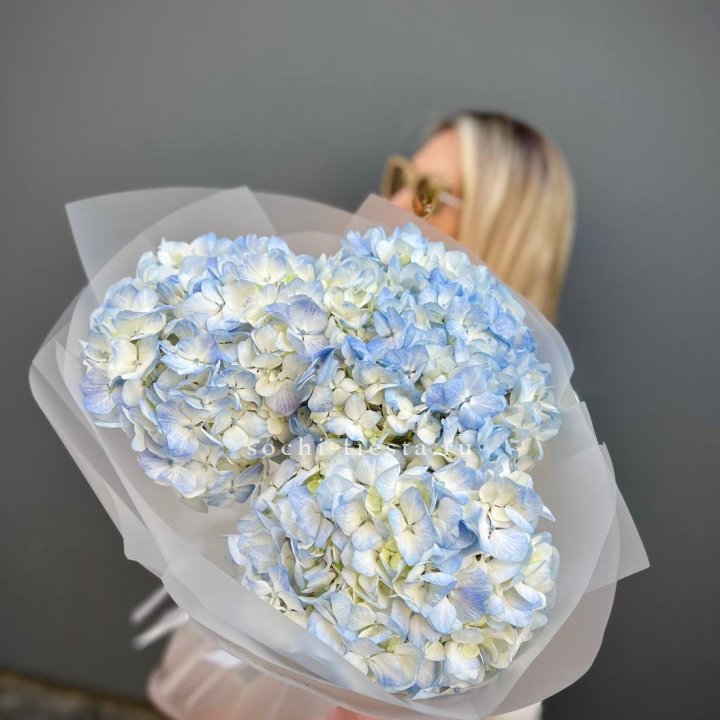 Букет из 3 голубых гортензий  в Ставрополи