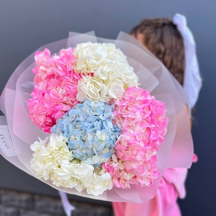 7 гортензий микс в Ставрополи