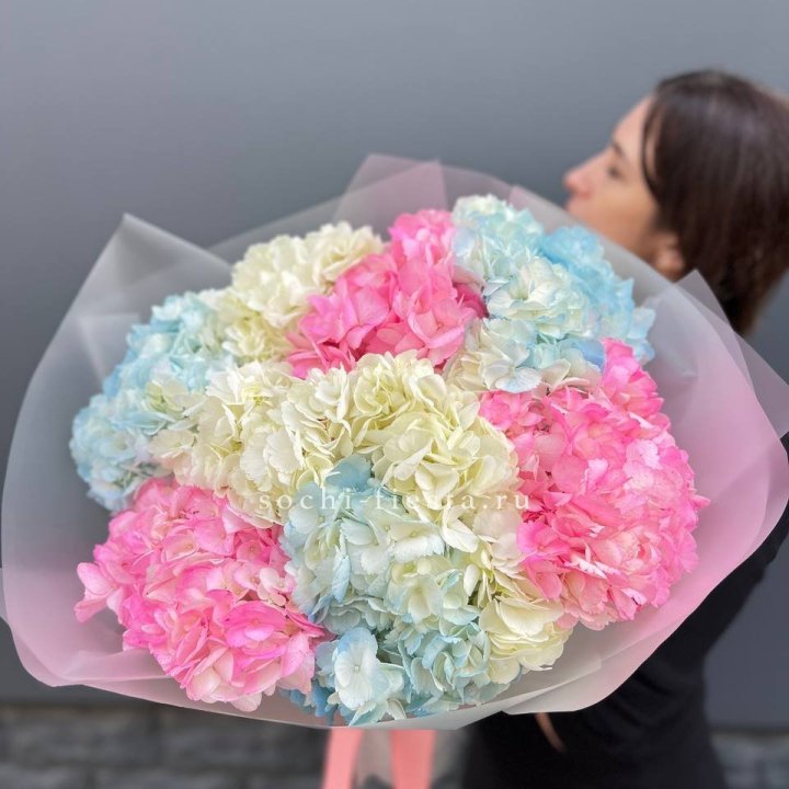 9 гортензий микс в Ставрополи