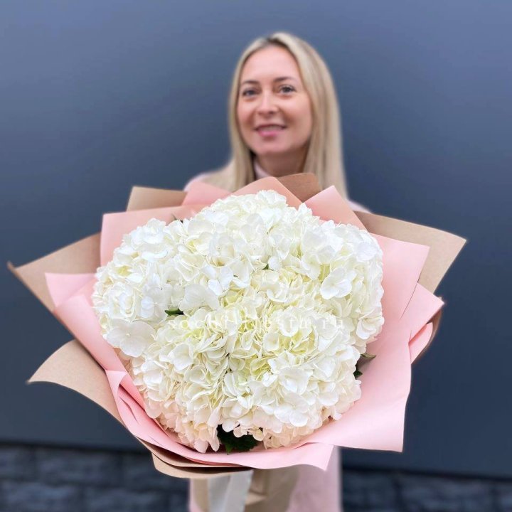 Гортензия белая в Ставрополи