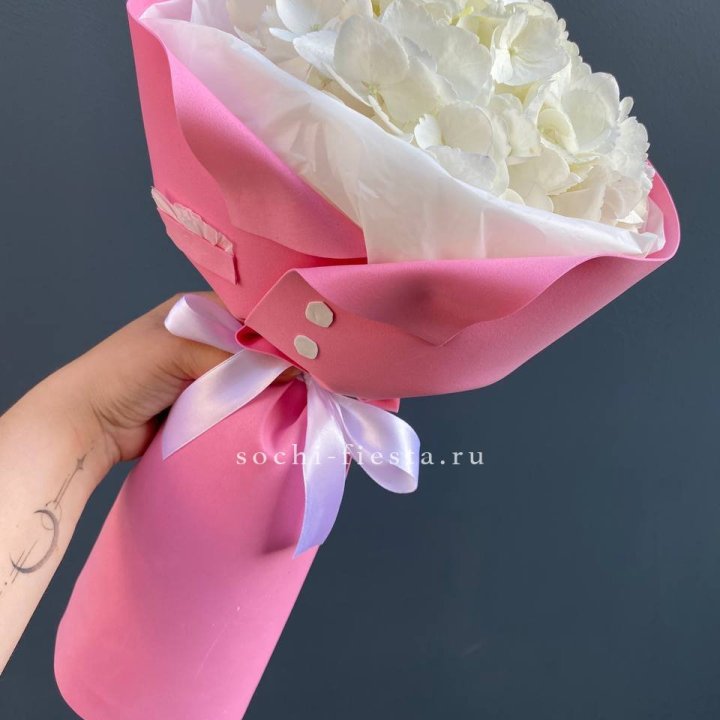 Гортензия в розовом пиджаке в Ставрополи