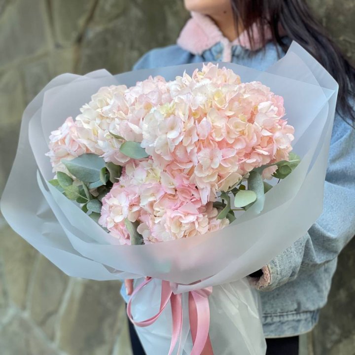 5 розовых гортензий в Ставрополи