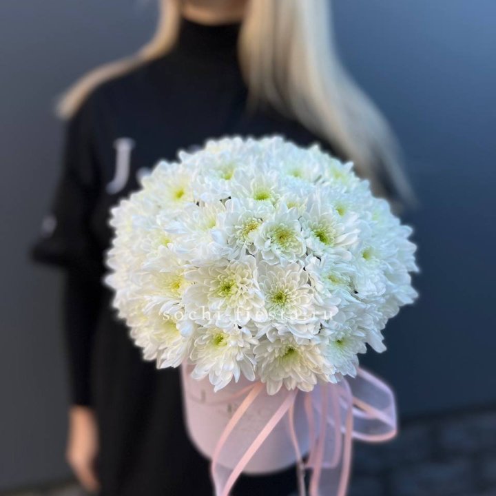 Коробка с хризантемами №1 в Ставрополи