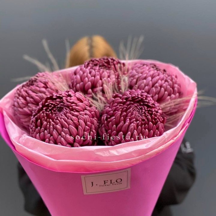 Хризантемы  Бигуди с стифой в Ставрополи