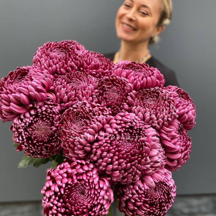 Охапка хризантем Бигуди в Ставрополи