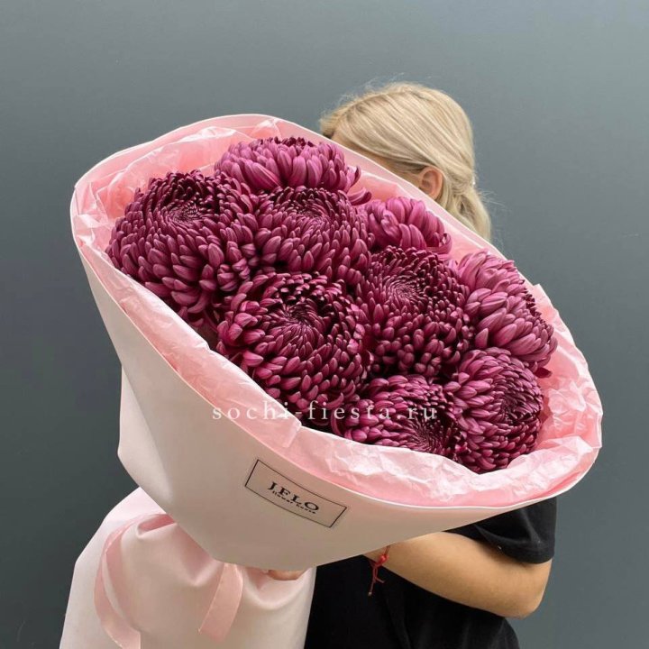 9 хризантем бигуди в Ставрополи