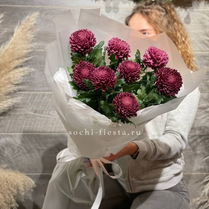 Хризантемы Бигуди в Ставрополи