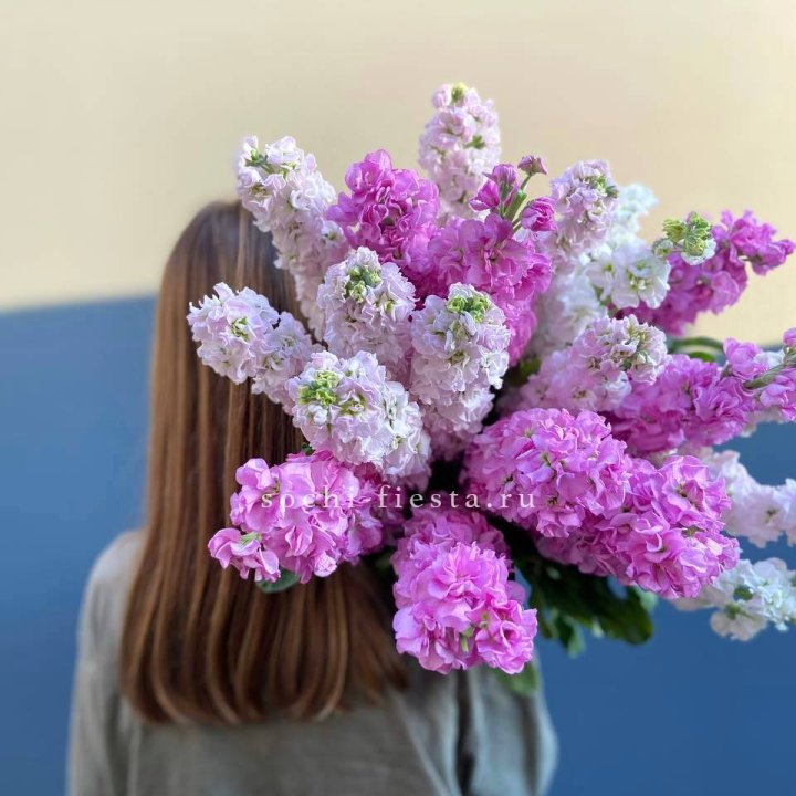 Охапка маттиолы в Ставрополи