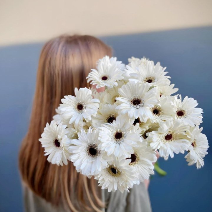 Охапка гербер в Ставрополи