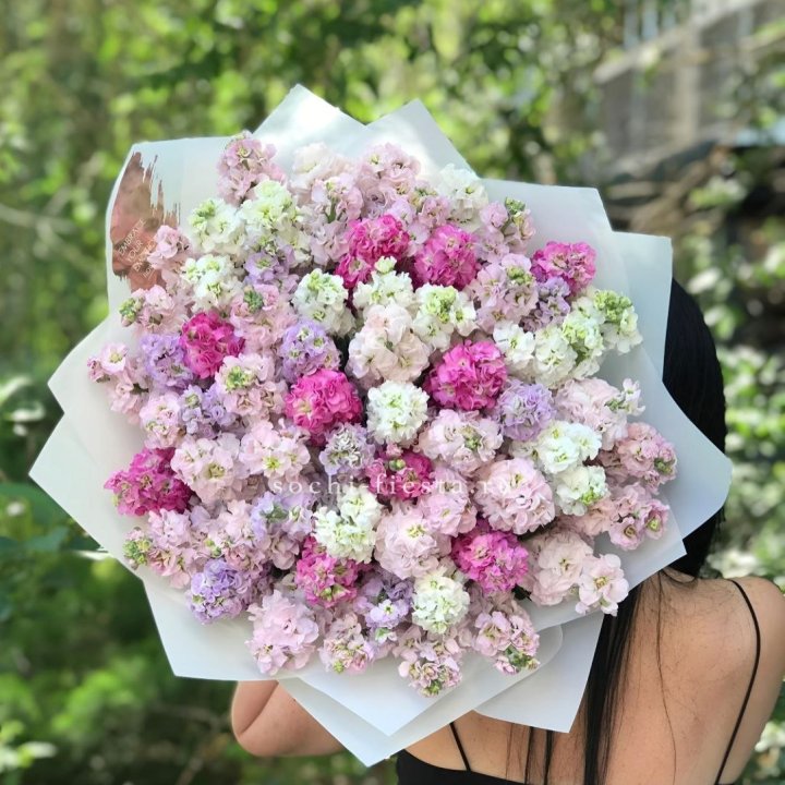 Букет ароматной маттиоллы №3 в Ставрополи