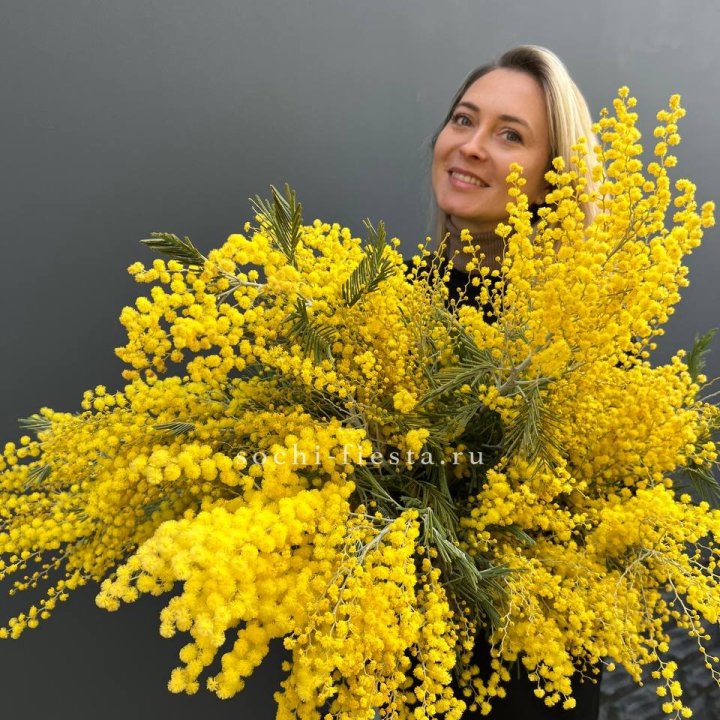 Охапка мимозы №2 в Ставрополи