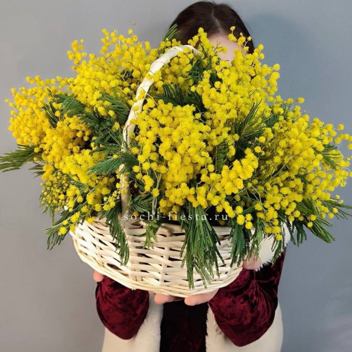 Корзина ароматной мимозы в Ставрополи