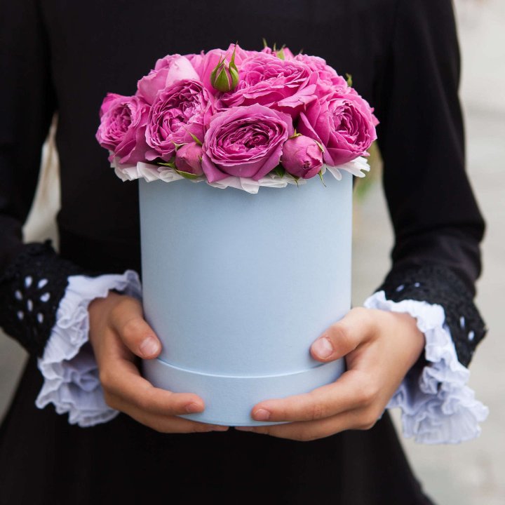 Бокс мини мисти в Ставрополи